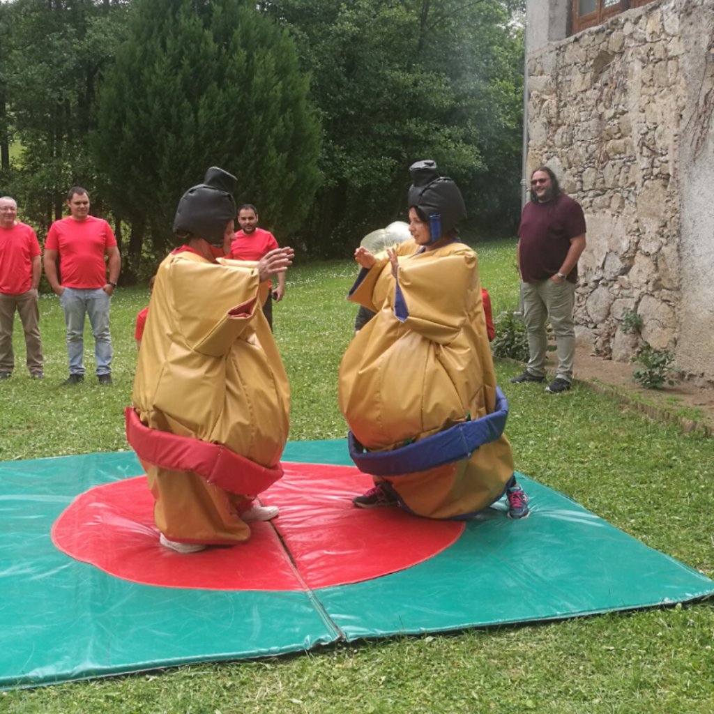 Les épreuves d'olympiades - Sumo adulte