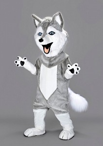 Location mascotte husky